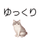猫のピクセルアート(ドット絵)のスタンプ 2（個別スタンプ：5）