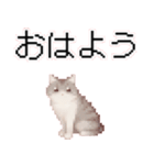 猫のピクセルアート(ドット絵)のスタンプ 2（個別スタンプ：7）