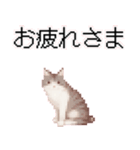 猫のピクセルアート(ドット絵)のスタンプ 2（個別スタンプ：8）