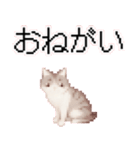 猫のピクセルアート(ドット絵)のスタンプ 2（個別スタンプ：11）