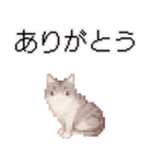 猫のピクセルアート(ドット絵)のスタンプ 2（個別スタンプ：12）