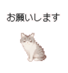猫のピクセルアート(ドット絵)のスタンプ 2（個別スタンプ：14）