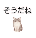 猫のピクセルアート(ドット絵)のスタンプ 2（個別スタンプ：16）