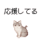 猫のピクセルアート(ドット絵)のスタンプ 2（個別スタンプ：18）
