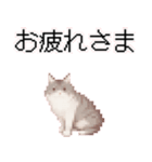 猫のピクセルアート(ドット絵)のスタンプ 2（個別スタンプ：22）