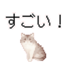 猫のピクセルアート(ドット絵)のスタンプ 2（個別スタンプ：23）