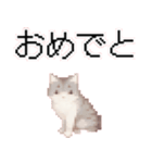 猫のピクセルアート(ドット絵)のスタンプ 2（個別スタンプ：25）