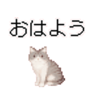 猫のピクセルアート(ドット絵)のスタンプ 2（個別スタンプ：27）