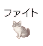 猫のピクセルアート(ドット絵)のスタンプ 2（個別スタンプ：28）