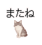 猫のピクセルアート(ドット絵)のスタンプ 2（個別スタンプ：30）