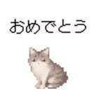 猫のピクセルアート(ドット絵)のスタンプ 2（個別スタンプ：31）