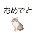 猫のピクセルアート(ドット絵)のスタンプ 2（個別スタンプ：34）
