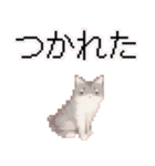 猫のピクセルアート(ドット絵)のスタンプ 2（個別スタンプ：35）