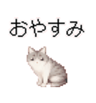 猫のピクセルアート(ドット絵)のスタンプ 2（個別スタンプ：37）