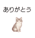 猫のピクセルアート(ドット絵)のスタンプ 2（個別スタンプ：38）