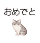 猫のピクセルアート(ドット絵)のスタンプ 2（個別スタンプ：39）