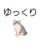 猫ドット絵ステッカーver1（個別スタンプ：1）