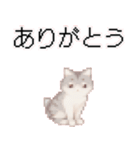 猫ドット絵ステッカーver1（個別スタンプ：4）