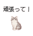 猫ドット絵ステッカーver1（個別スタンプ：7）