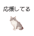 猫ドット絵ステッカーver1（個別スタンプ：8）