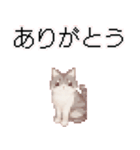 猫ドット絵ステッカーver1（個別スタンプ：10）