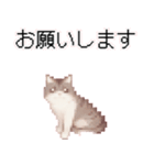 猫ドット絵ステッカーver1（個別スタンプ：12）