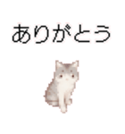 猫ドット絵ステッカーver1（個別スタンプ：18）