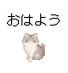 猫ドット絵ステッカーver1（個別スタンプ：19）