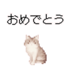 猫ドット絵ステッカーver1（個別スタンプ：20）