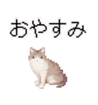 猫ドット絵ステッカーver1（個別スタンプ：24）