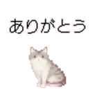 猫ドット絵ステッカーver1（個別スタンプ：30）