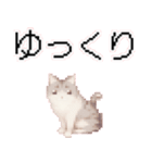 猫ドット絵ステッカーver1（個別スタンプ：31）