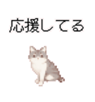 猫ドット絵ステッカーver1（個別スタンプ：37）