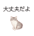猫ドット絵ステッカーver1（個別スタンプ：38）