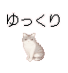 猫のピクセルアート(ドット絵)スタンプ 3（個別スタンプ：2）