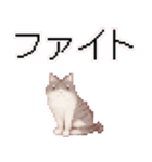 猫のピクセルアート(ドット絵)スタンプ 3（個別スタンプ：4）