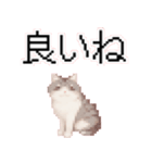 猫のピクセルアート(ドット絵)スタンプ 3（個別スタンプ：5）