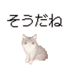 猫のピクセルアート(ドット絵)スタンプ 3（個別スタンプ：10）