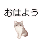 猫のピクセルアート(ドット絵)スタンプ 3（個別スタンプ：16）