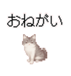 猫のピクセルアート(ドット絵)スタンプ 3（個別スタンプ：18）