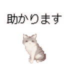 猫のピクセルアート(ドット絵)スタンプ 3（個別スタンプ：19）