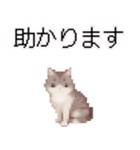 猫のピクセルアート(ドット絵)スタンプ 3（個別スタンプ：21）