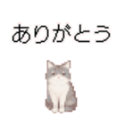 猫のピクセルアート(ドット絵)スタンプ 3（個別スタンプ：22）