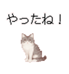 猫のピクセルアート(ドット絵)スタンプ 3（個別スタンプ：25）