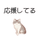 猫のピクセルアート(ドット絵)スタンプ 3（個別スタンプ：26）