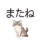 猫のピクセルアート(ドット絵)スタンプ 3（個別スタンプ：30）