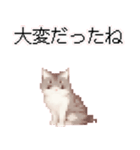 猫のピクセルアート(ドット絵)スタンプ 3（個別スタンプ：34）