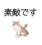 猫のピクセルアート(ドット絵)スタンプ 3（個別スタンプ：37）