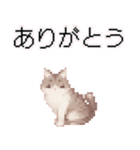 猫のピクセルアート(ドット絵)スタンプ 3（個別スタンプ：40）