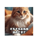 可愛くて憎めない猫（個別スタンプ：16）